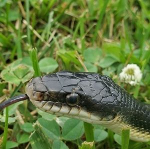 Meet your Posher, Sandy